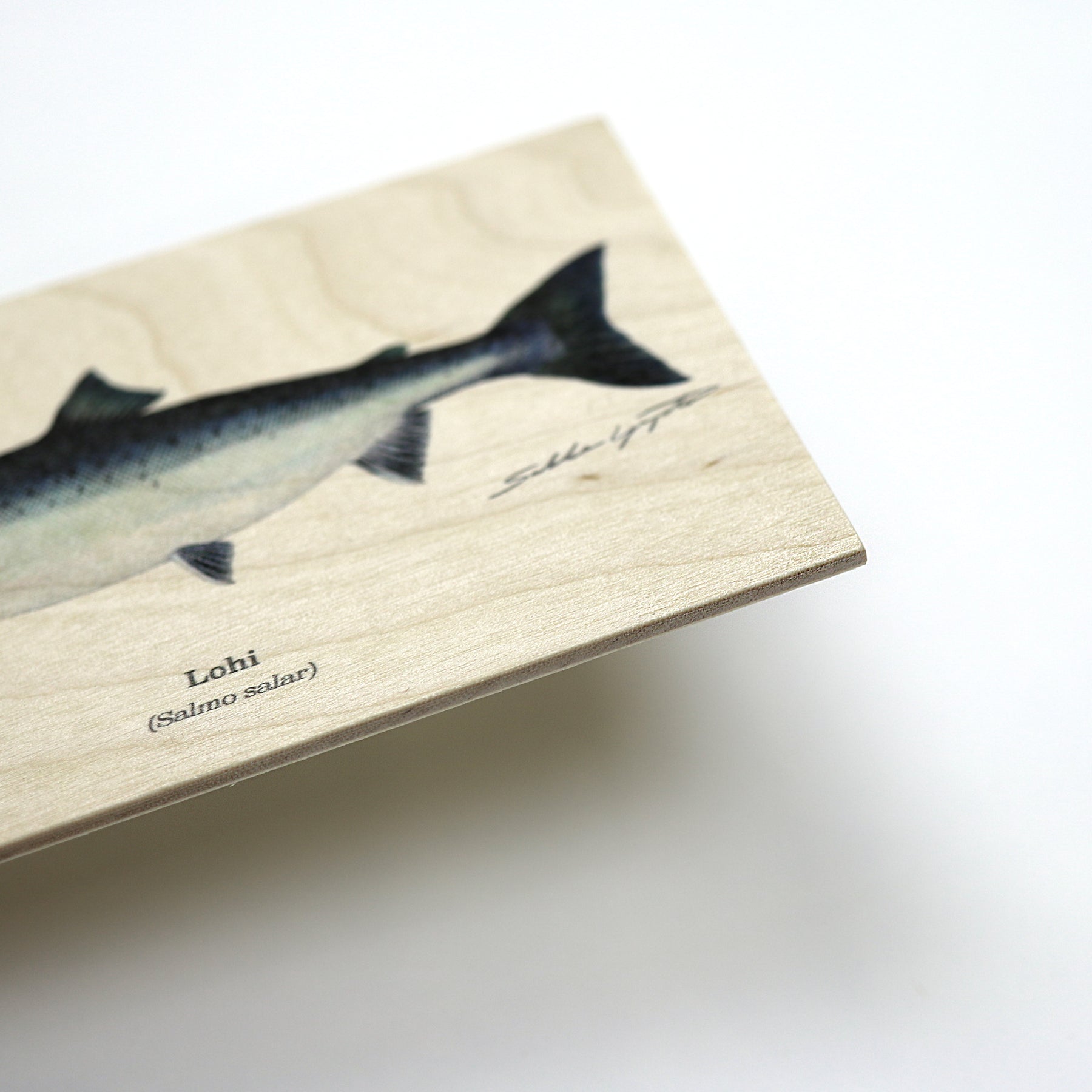 Wooden Post Cards